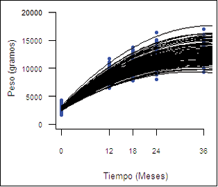 Imagen120286.PNG