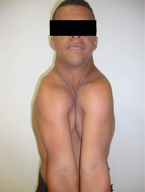 Figura1