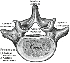 figura2