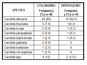 Tabla4