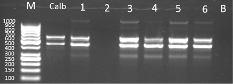Figura2