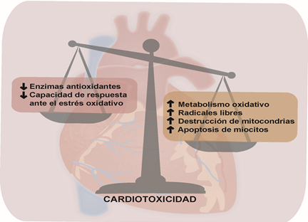 Figura3
