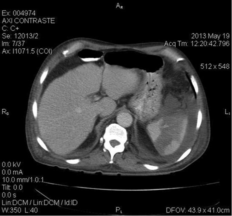 Figura%2014-4.jpg